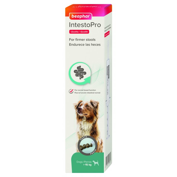 INTESTOPRO ANTI DIARRHEA PASTE SYRINGE LARGE DOG 2 X 20ML - Shopivet.com
