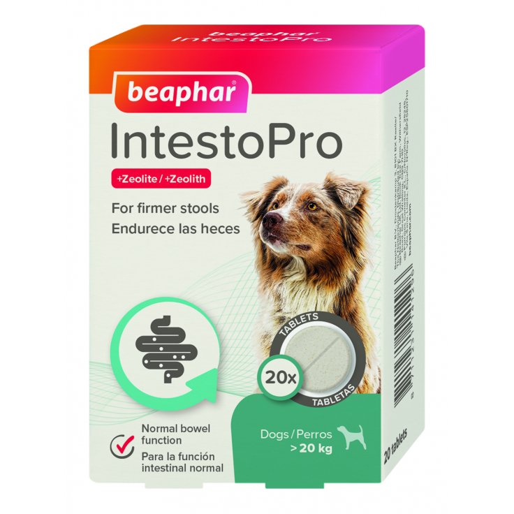INTESTOPRO ANTI DIARRHEA TABLET LARGE DOG 20 TAB - Shopivet.com