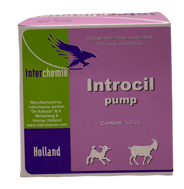 Introcil pump 100 ml - Shopivet.com