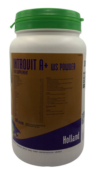 Introvit A+ WS powder 1kg - Shopivet.com