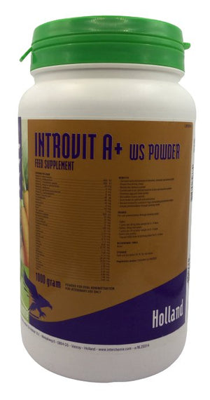 Introvit A+ WS powder 1kg - Shopivet.com