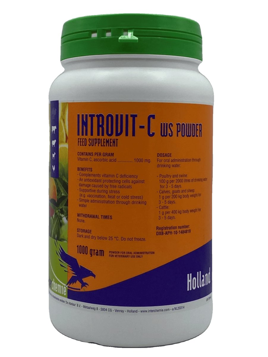 INTROVIT-C 1kg - Shopivet.com