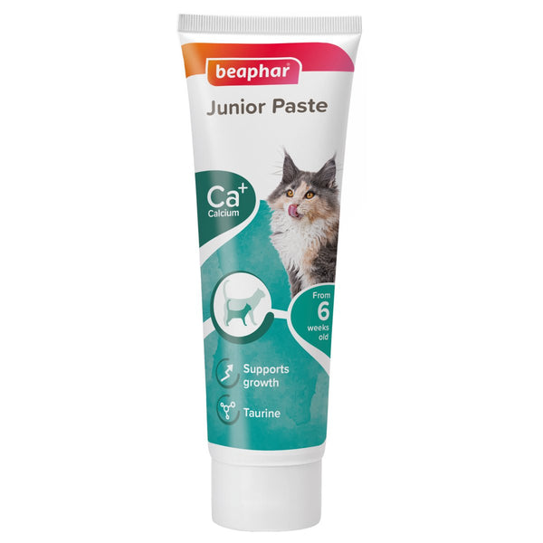 JUNIOR PASTE - CAT / 100 G - Shopivet.com