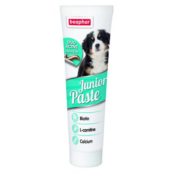 JUNIOR PASTE - DOG / 100 G - Shopivet.com