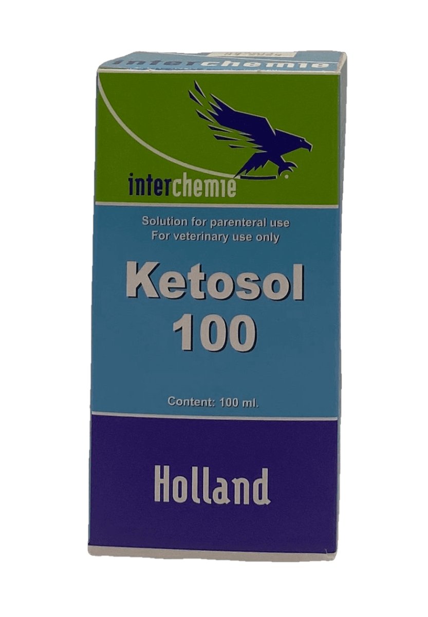 Ketosol 100 injection 100 ml - Shopivet.com