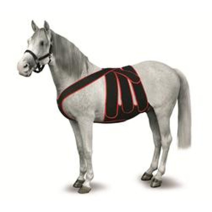 KRUUSE EQUINE POST COLIC SURGERY KIT, SIZE LARGE - Shopivet.com