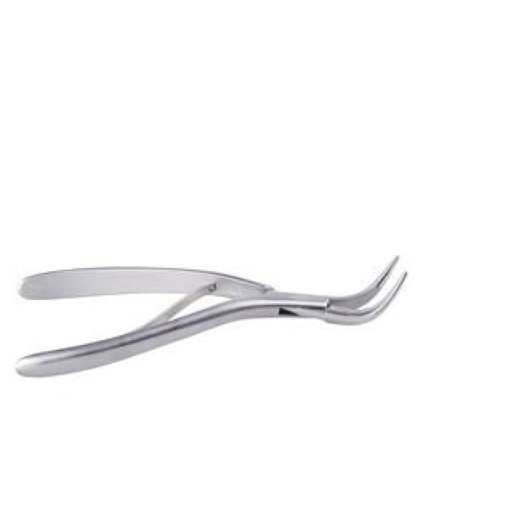 KRUUSE ROOT TIP EXTRACTION FORCEPS - Shopivet.com