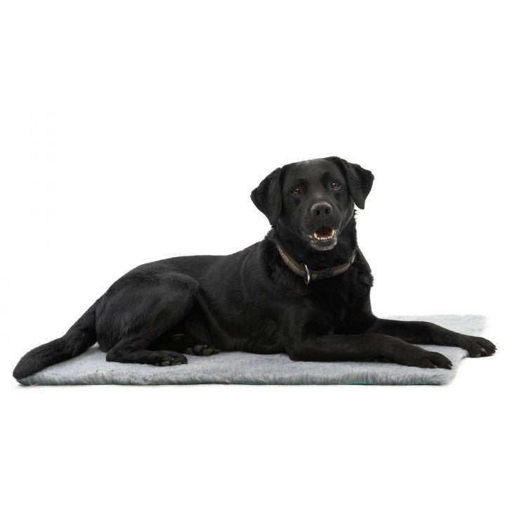 KRUUSE VET BED GREY, 71 X 61 CM - Shopivet.com