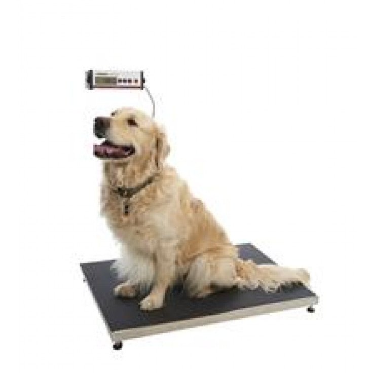 KRUUSE WALK-ON SCALES FOR CLINICAL PURPOSES - Shopivet.com