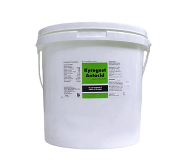 Kyrogest Antacid 12x320 powder sachets - Shopivet.com