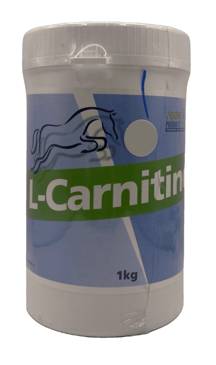 L-Carnitin 1kg - Shopivet.com