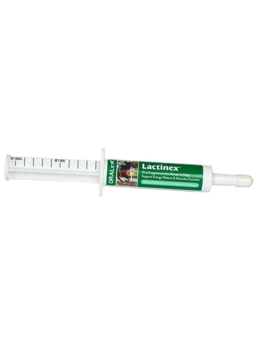 Lactinex oral - Shopivet.com