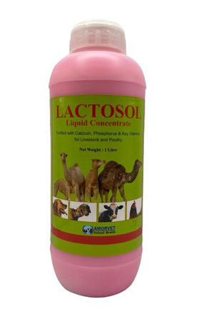 LACTOSOL 1L - Shopivet.com