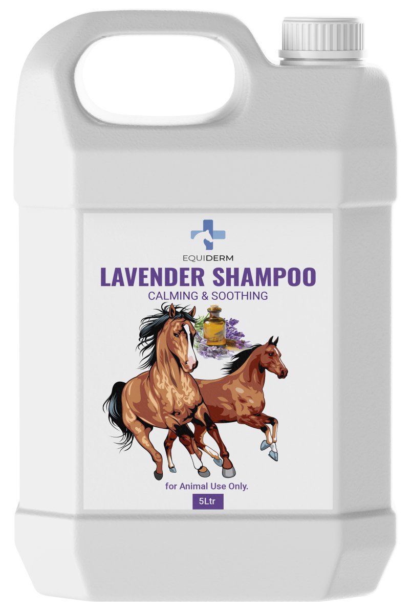 Lavender Shampoo for horses 5L - Shopivet.com