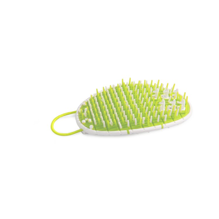 Lifestyle 4 Pets - 2 in 1 Groomer - Shopivet.com