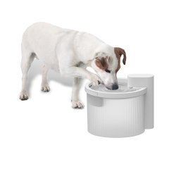 Lifestyle 4 Pets - Wireless Fountain - Shopivet.com