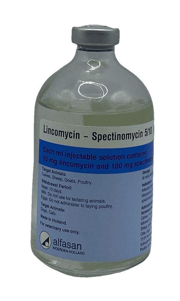 Lincomycin spectinomycin 5/10 Injection 100 ml - Shopivet.com