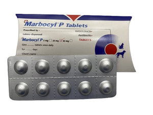 Marbocyl p20mg 10 Tablets - Shopivet.com