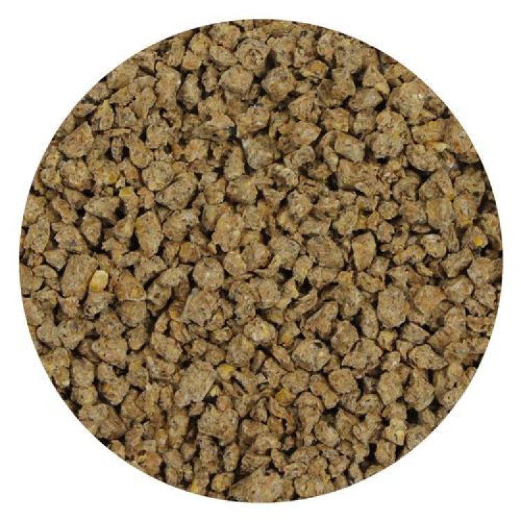 Mealworm Chow 1 lb. - Shopivet.com