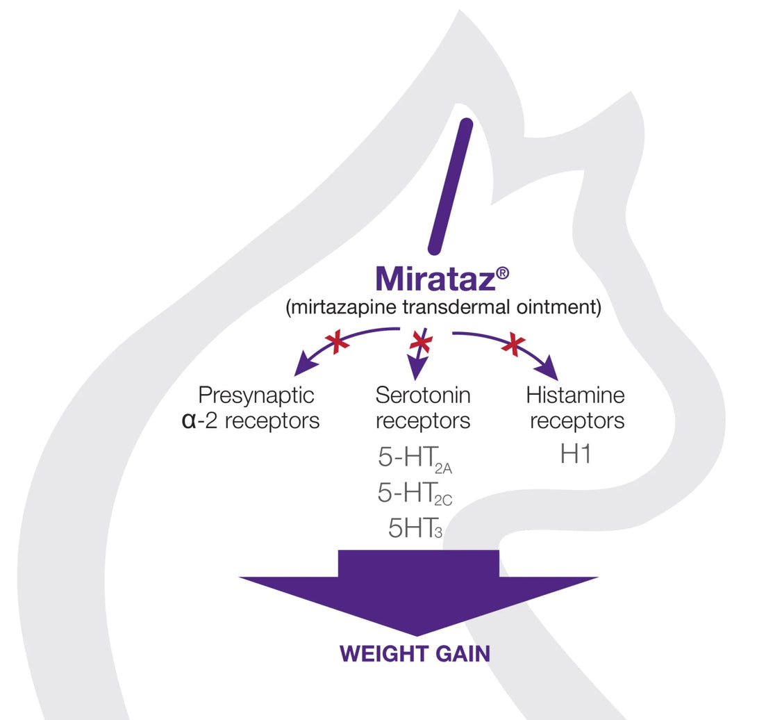 Mirataz® (mirtazapine transdermal ointment) 5g - Shopivet.com