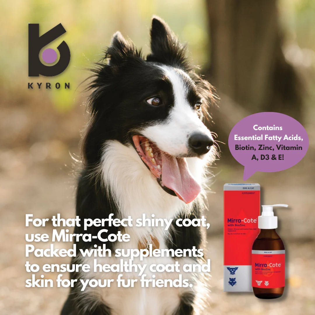 Mirra-Cotte® with Biozinc 200 ml - Shopivet.com