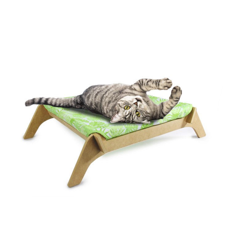 Modern Cat-Cat Lounge - Shopivet.com