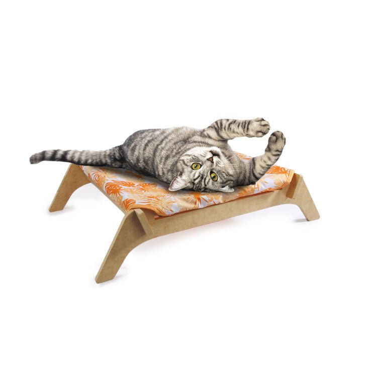 Modern Cat-Cat Lounge - Shopivet.com