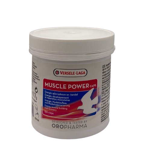 MUSCLE POWER 150 Capsules - Shopivet.com