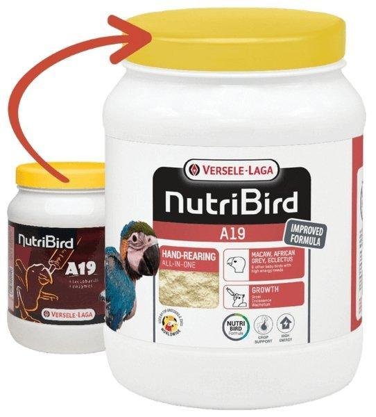 NutriBird A19 800gm - Shopivet.com
