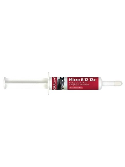 Oralx Micro-B12 12x Paste 36gm - Shopivet.com