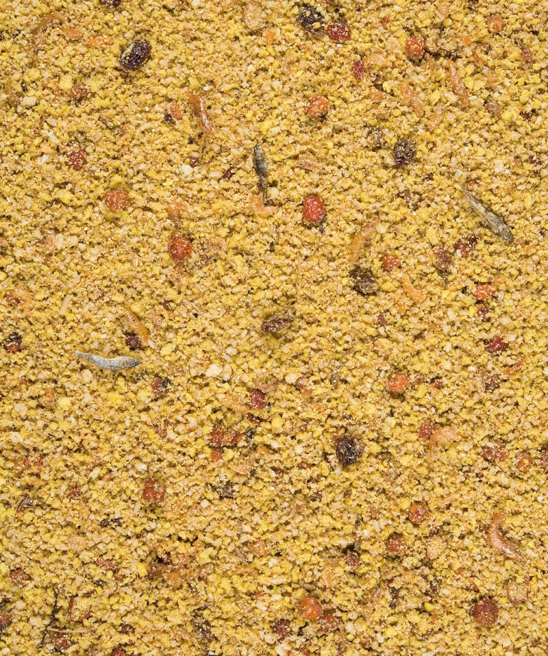 Orlux Gold Patee Egg food 5kg - Shopivet.com