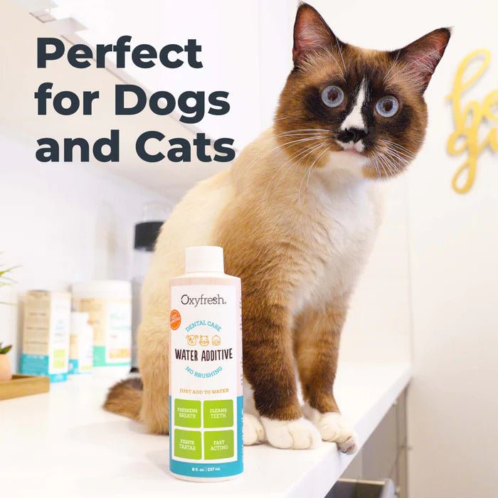 Oxyfresh Dental Care Solution Pet Water Additive - Shopivet.com