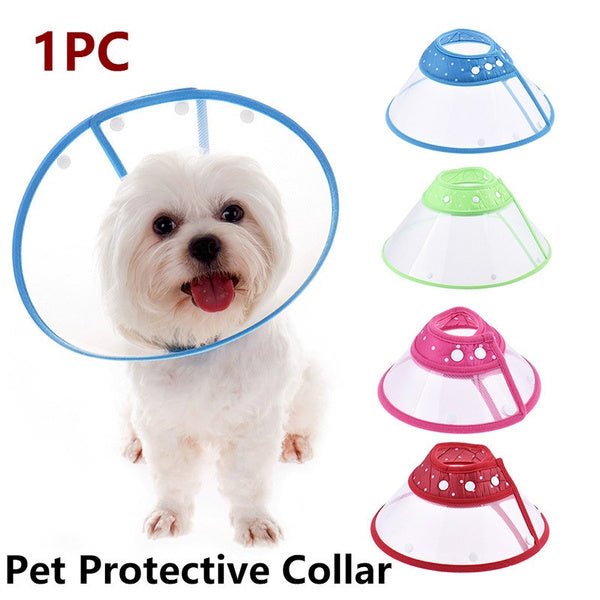 Pet Protective Collar Medium - Shopivet.com
