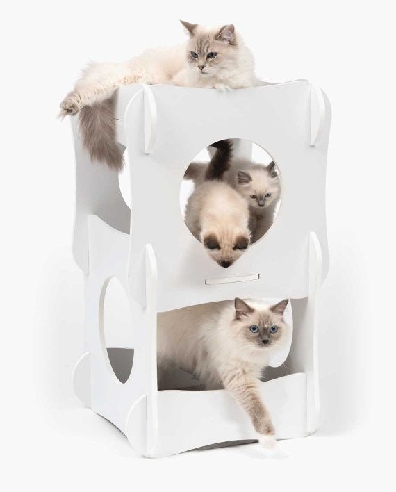 PREMIUM CAT FURNITURE CONDO - WHITE - Shopivet.com