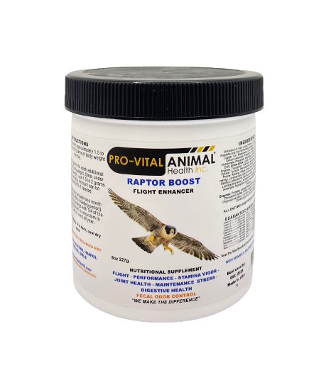 Pro-Vital Raptor Boost 227g - Shopivet.com