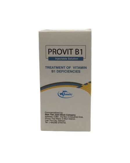 PROVIT B1 100ml - Shopivet.com