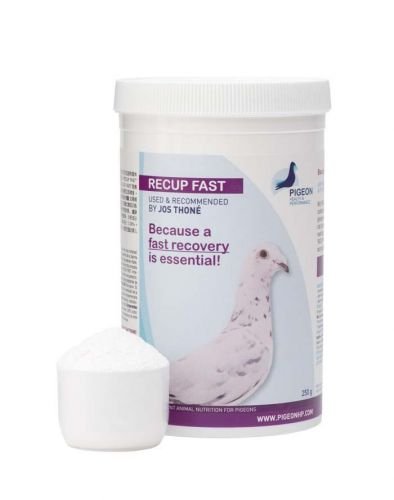 Recup Fast Powder 250gm - Shopivet.com
