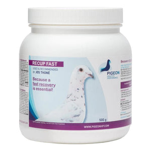 Recup Fast Powder 500gm - Shopivet.com
