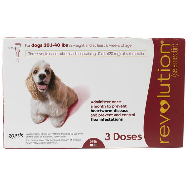 Revolution for medium dog 3 doses - Shopivet.com