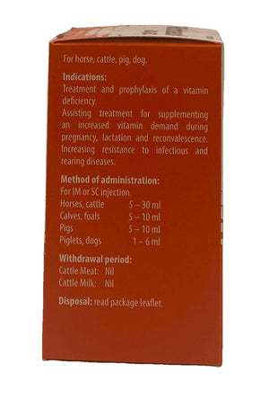 Richtasol AD3EC injection 100 ml - Shopivet.com