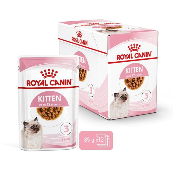 Royal Canin Kitten Gravy Wet Cat Food, 12 x 85g - Shopivet.com