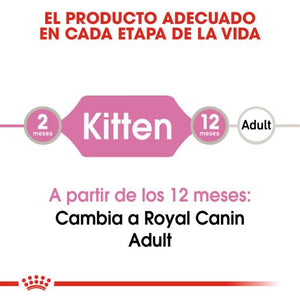 Royal Canin Kitten Gravy Wet Cat Food, 12 x 85g - Shopivet.com