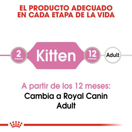 Royal Canin Kitten Gravy Wet Cat Food, 12 x 85g - Shopivet.com