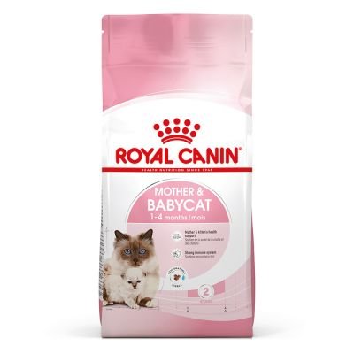 Royal Canin Mother & Babycat Dry Food 2kg - Shopivet.com