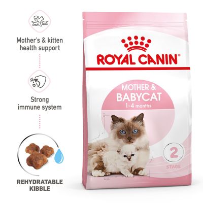 Royal Canin Mother & Babycat Dry Food 2kg - Shopivet.com