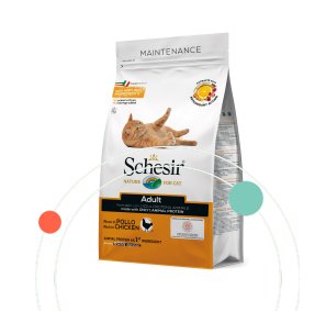Schesir Cat Dry Food Maintenance With Chicken Adult 10kg - Shopivet.com