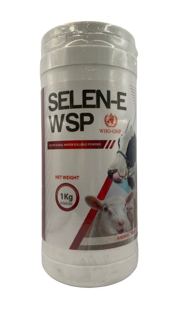 SELEN-E WSP 1kg - Shopivet.com