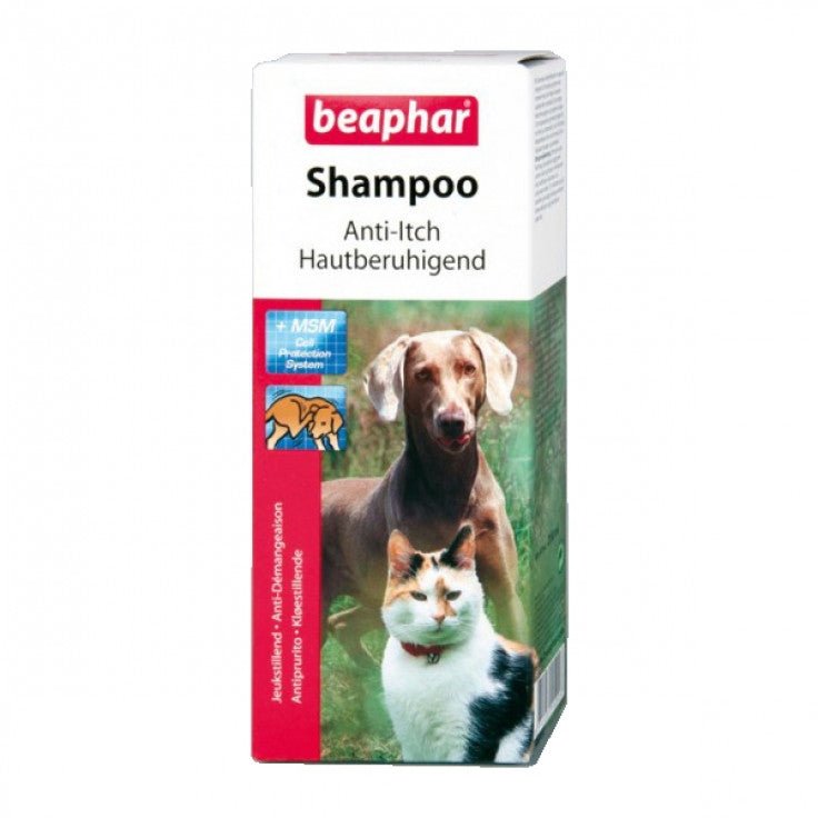 SHAMPOO ANTI ITCH DOGS & CATS 200ML - Shopivet.com