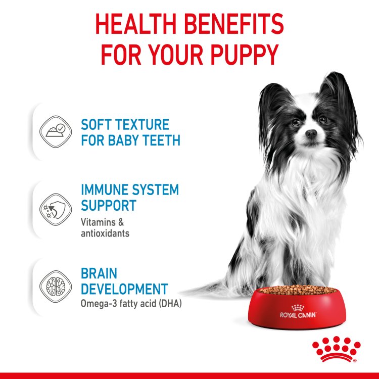 Size Health Nutrition XS Puppy 1.5 KG - Shopivet.com