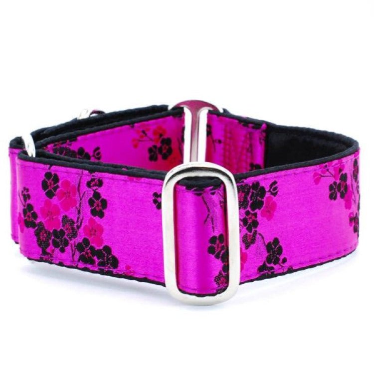 Small Satin Lined Martingale Collar - Shopivet.com